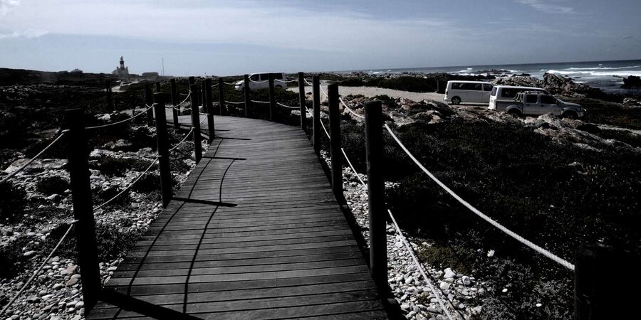 Cape Agulhas Tour from Cape Town - Price and value: is $154 per person worth it?