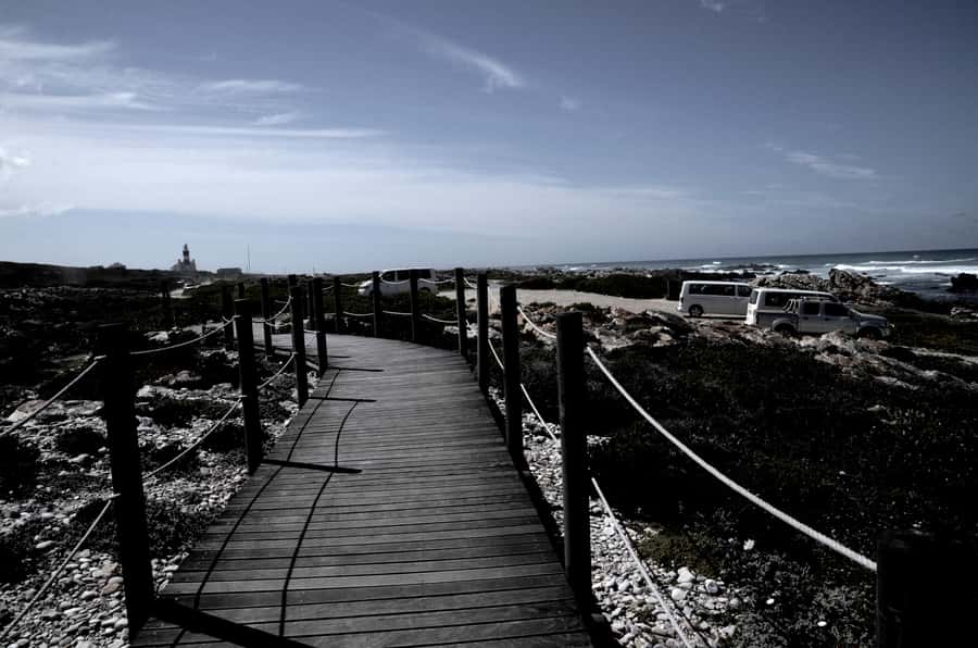 Cape Agulhas Tour from Cape Town - Who should book this Cape Agulhas day trip