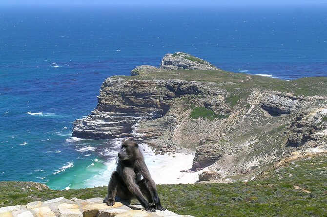 Cape of Good Hope and Boulders Beach Group Tour in Cape Town - Price Breakdown: What $47 Covers, and What You Still Pay