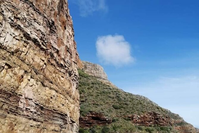Cape of Good Hope and Penguin Beach Tour in Cape Town - The big idea: a long Cape Peninsula day, without the driving stress