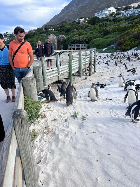 Cape of Good Hope and Penguins Full-Day Private Tour - New Cape Point Lighthouse, optional funicular, and lunch in Simon’s Town
