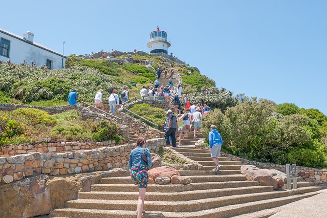Cape Of Good Hope and Penguins Full Day Small Group Tour from Cape Town - Cape of Good Hope and Cape Point lighthouse: the coast’s real drama