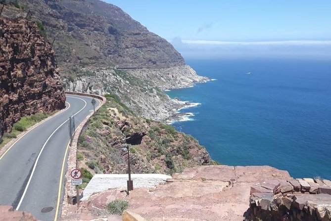 Cape of Good Hope and Penguins - Small Group - Full day - The Cape Point Loop: Quick Ostrich Farm Peek, Then Real Reserve Time