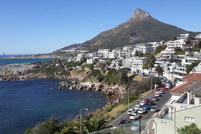 Cape of Good Hope and Penguins - Small Group - Full day - Boulders Beach Penguin Colony: Your One Hour With African Penguins