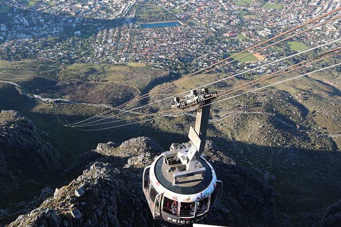 Cape Of Good Hope and Table Mountain Day Trip from Cape Town parks fees include - Price and what you actually get for it