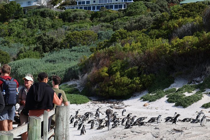 Cape Of Good Hope and Table Mountain Day Trip from Cape Town parks fees include - Muizenberg Bay views and Bo-Kaap color in 10 minutes