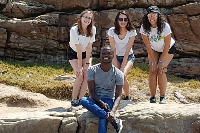 Cape of Good Hope & Boulder Penguins Full-Day Tour from Cape Town - Cape Point Ostrich Farm, Cape Point Reserve, and the lure of the lighthouse
