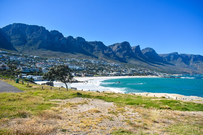 Cape of Good Hope & Boulders Beach Private Tour (Including Lunch) - Cape Point Nature Reserve: plant life, wildlife chances, and lighthouse history nearby
