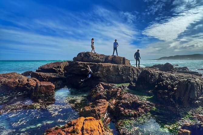 Cape of Good Hope Cape Point for groups - Why this private Cape Town coastal route beats a bus day