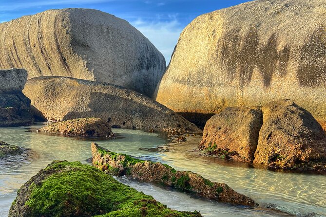 Cape of Good Hope Cape Point for groups - Hout Bay to seal island: the part you should budget for