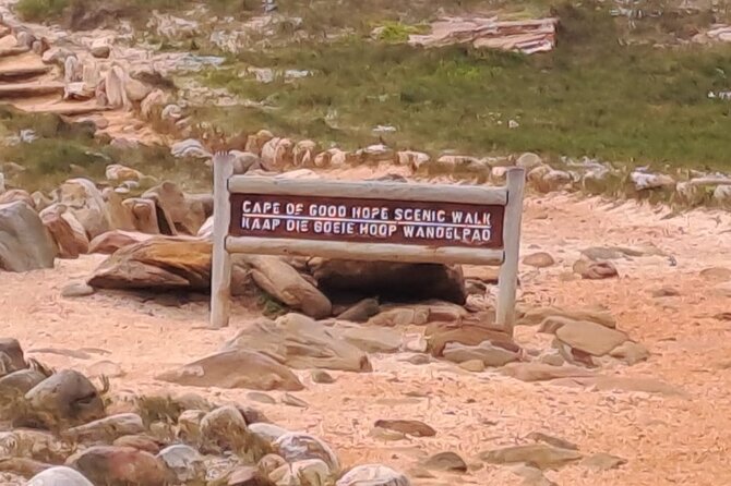 Cape of Good Hope-Cape Point & Penguins from Cape Town - The Atlantic stops that make the Cape Peninsula feel real