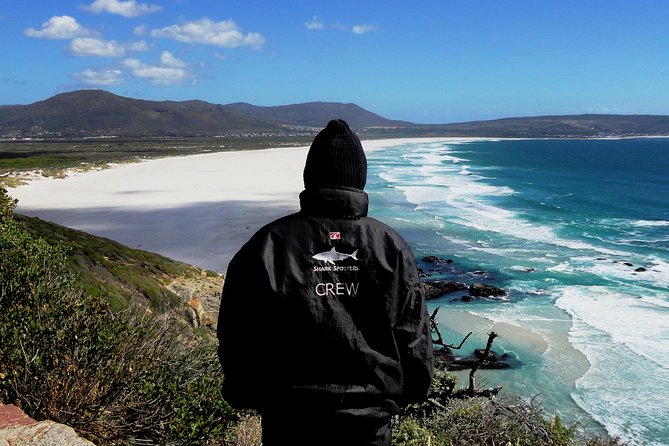 Cape of Good Hope, Cape Point & Penguins Private customizable Full Day Tour - Ostrich Farm facts, then the reserve’s slow wildlife pace