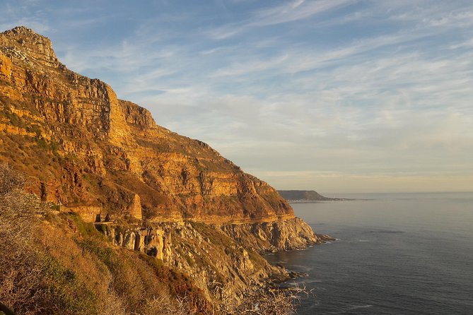 Cape of Good hope, Cape Point & Penguins, Private Morning Tour - How the guide and private vehicle change the whole feel