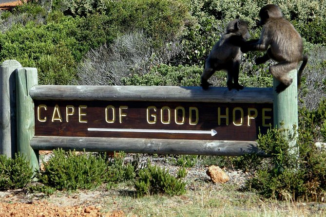 Cape of Good hope, Cape Point & Penguins, Private Morning Tour - Practical tips so your morning goes smoothly