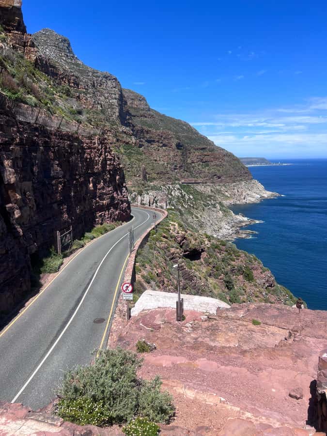 Cape of Good Hope, Chapman's Peak Drive, Penguins , Seals - Maiden’s Cove, Bantry Bay Views, and the Hout Bay Seal Island Choice