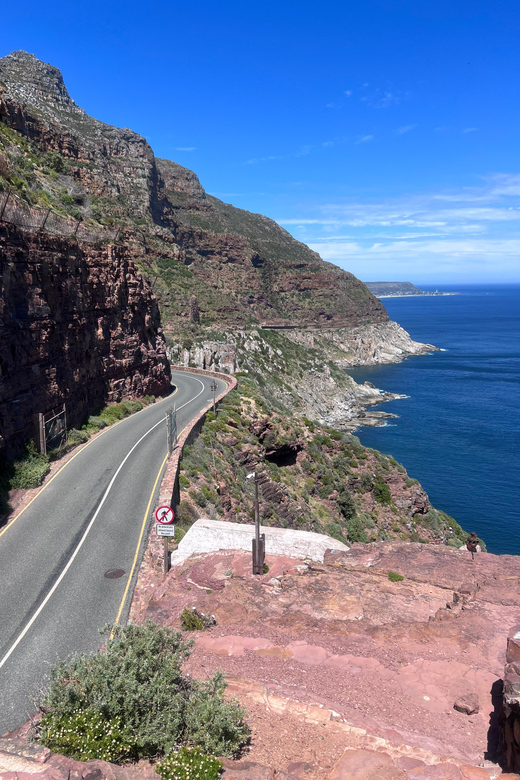 Cape of Good Hope, Chapman's Peak Drive, Penguins , Seals - Boulders Beach Penguin Colony: Up Close With African Penguins