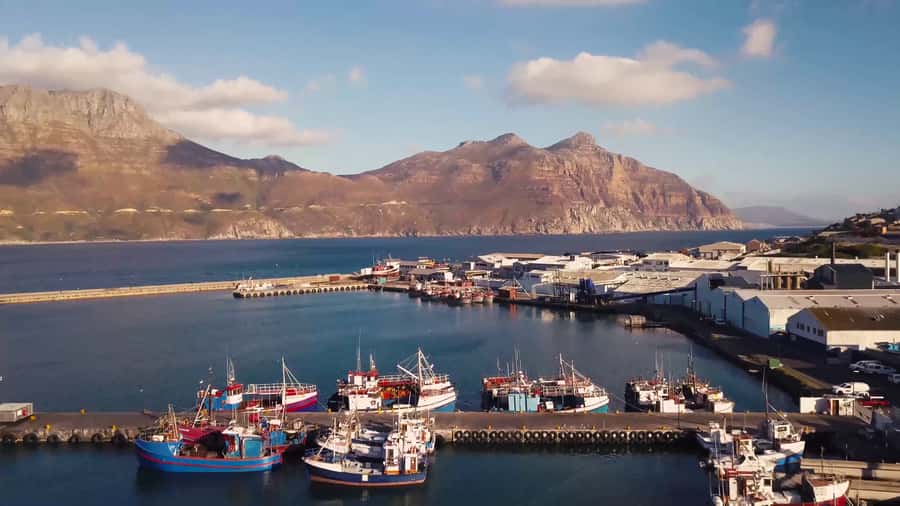 Cape of Good Hope Full-Day Private Tour - Key highlights you will actually feel