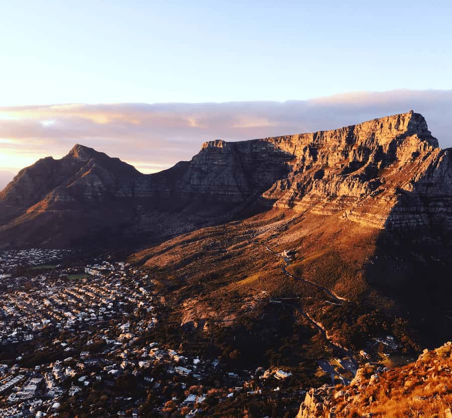 Cape of Good Hope Full-Day Private Tour - Hout Bay harbor and the Seal Island option that can steal the show