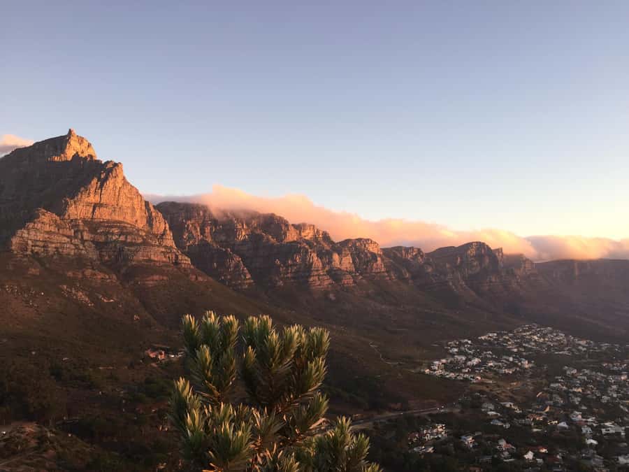 Cape of Good Hope Full-Day Private Tour - Pickup, timing, and a realistic 8-hour rhythm from Cape Town
