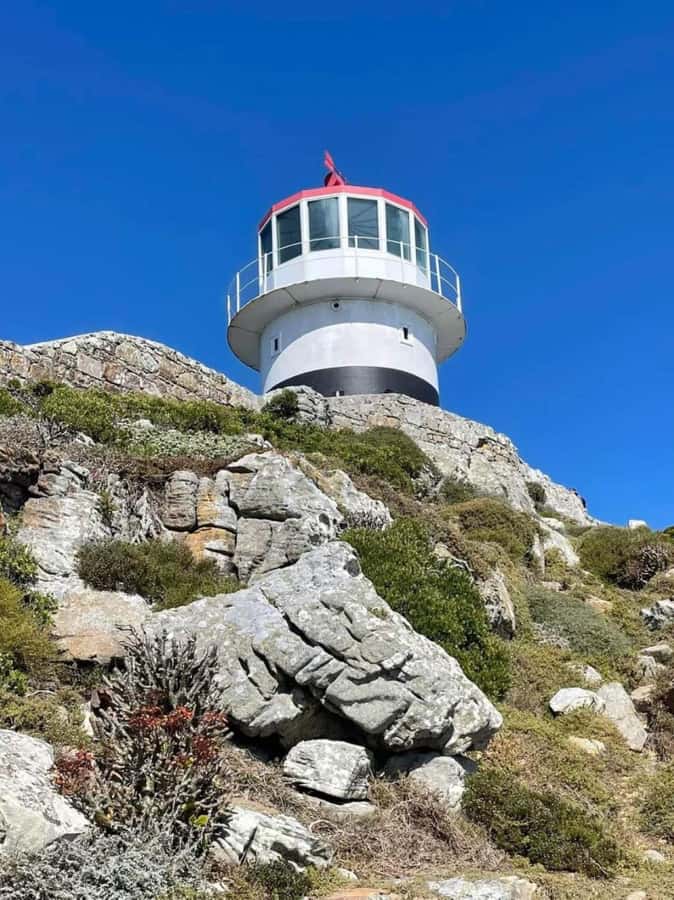 Cape of Good Hope & Penguins Private Tour - Who this tour is best for, and who should think twice