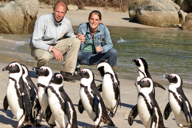 Cape of Good Hope & Penguins Small Group Tour from Cape Town - Why this Cape Peninsula day feels like three trips in one