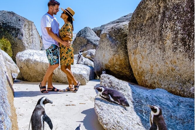 Cape of Good Hope & Penguins Small Group Tour from Cape Town - Pickup Times, Minibus Comfort, and the 9 Hour Reality