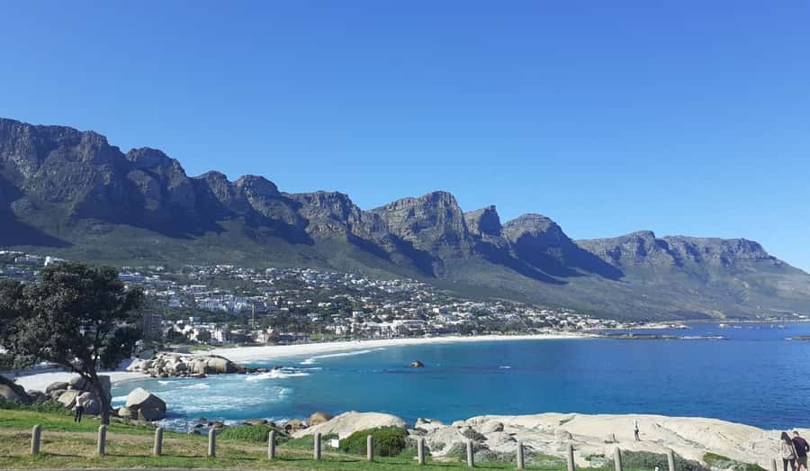 Cape of Good Hope: Sightseeing and African Penguins Tour - Pickup points in Cape Town, and why timing matters