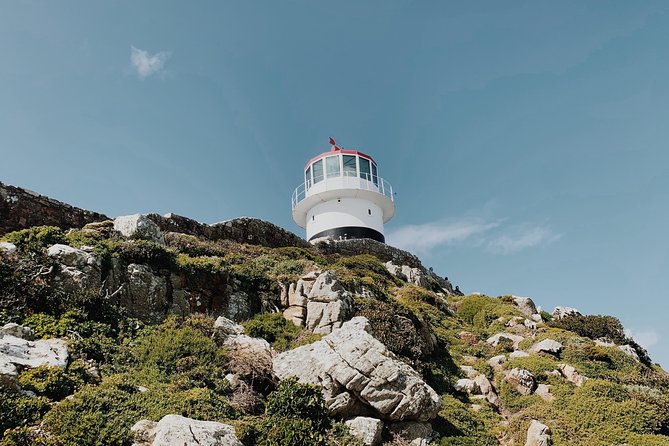 Cape of Good Hope, Table Mountain & Penguins Private Tour from Cape Town - Cape of Good Hope: where you get the iconic moment
