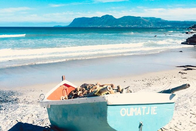 Cape Peninsula Adventure - Boulders Beach Penguin Colony and Simons Town