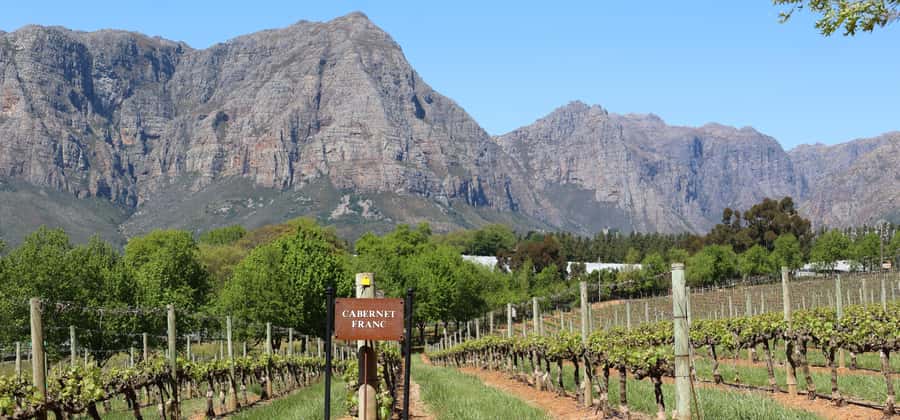 Cape Peninsula and Winelands Private Full-Day Combo Tour - Bo-Kaap to Hout Bay: a colorful start, then the coast gets serious