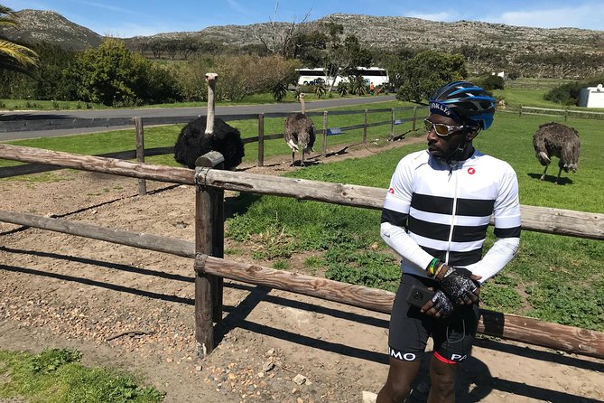 Cape Peninsula Cycle Tour - Where It Ends in Camps Bay, and What That Means for You