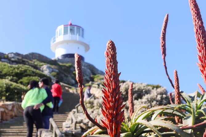 Cape Peninsula Day Tour - Kalk Bay Harbour first, for color and a quick dose of local life