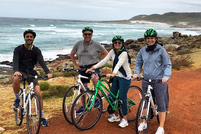 Cape Peninsula E-bike Cycle with Vehicle - Private Tour - Simon’s Town harbor time and the Boulders Beach penguin stop