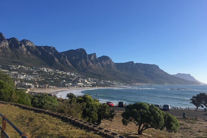Cape Peninsula E-bike Cycle with Vehicle - Private Tour - Price, what’s included, and what you still need to plan for