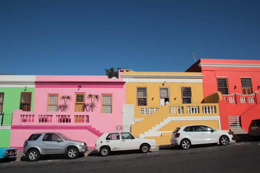 Cape Peninsula Full Day Tour In Private Car - Cape Point Nature Reserve and the New Cape Lighthouse: Wildlife and Big Views