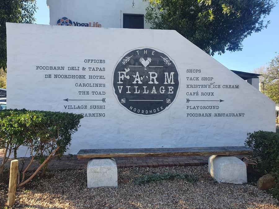 Cape Peninsula Full Day Tour In Private Car - Getting Started in Cape Town: Pickup Choices and Timing Reality