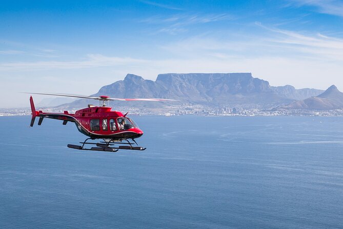 Cape Peninsula Helicopter Private Tour with Stellenbosch Wine Tasting & Lunch - Key highlights