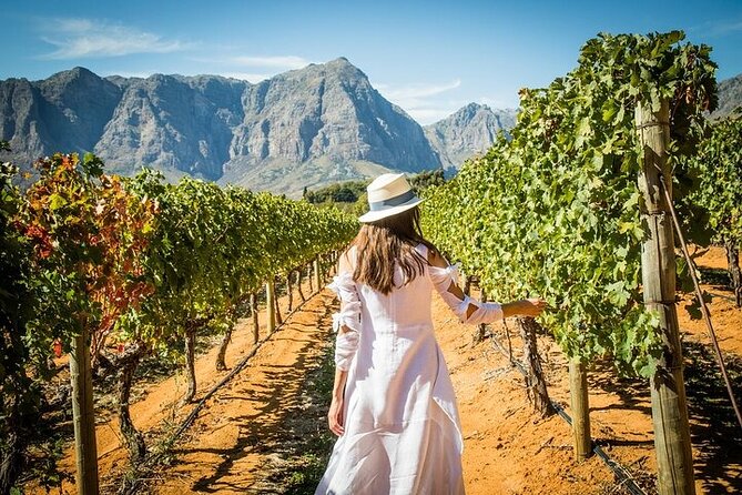 Cape Peninsula Helicopter Private Tour with Stellenbosch Wine Tasting & Lunch - DeMorgenzon wine tasting in Stellenbosch, why this estate feels different