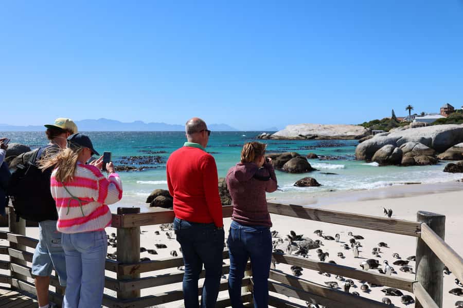 Cape Peninsula & Penguins Beach Half Day Tour from Cape Town - Boulders Beach African penguins: the main colony, not a quick glimpse