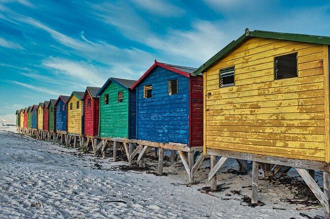Cape Peninsula & Penguins Private Day Tour, Entrances Included. - Cape Point Nature Reserve and Cape Point lighthouses: where the day turns wild