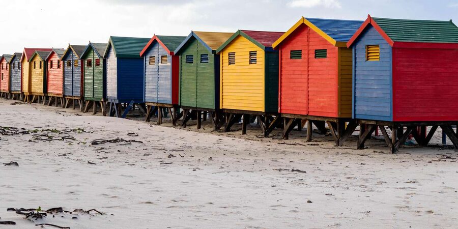 Cape Peninsula: Private Full Day Tour - Who should book this tour, and who might prefer a different plan