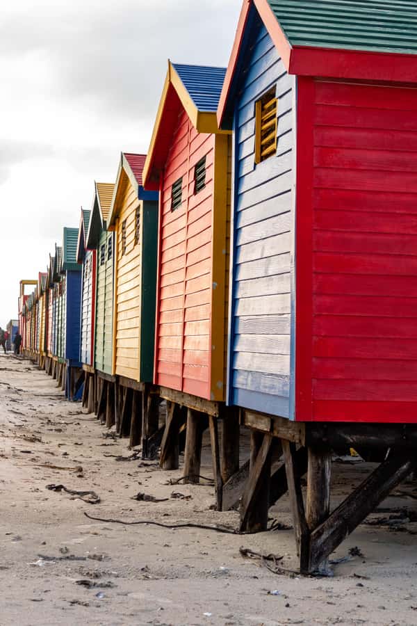 Cape Peninsula: Private Full Day Tour - Cape Point and Cape of Good Hope, lighthouse views and ocean drama