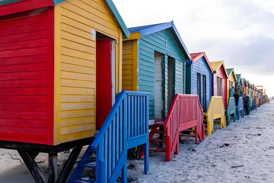 Cape Peninsula: Private Full Day Tour - Lunch with ocean views, then Simon’s Town with naval town atmosphere