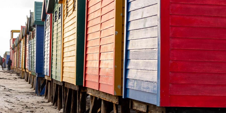 Cape Peninsula: Private Full Day Tour - Price and logistics, what $225 buys you in real terms