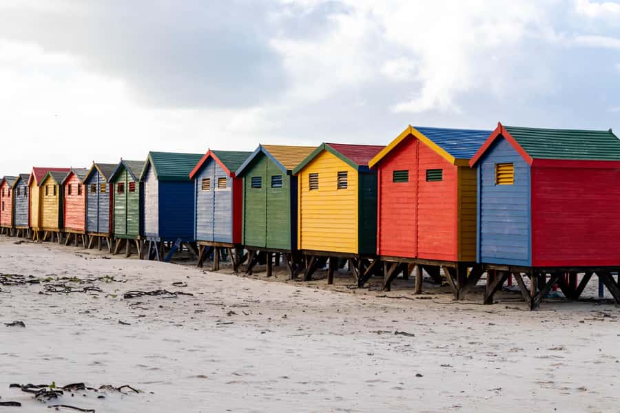 Cape Peninsula: Private Full Day Tour - The guides, and why the human touch shows up in the day