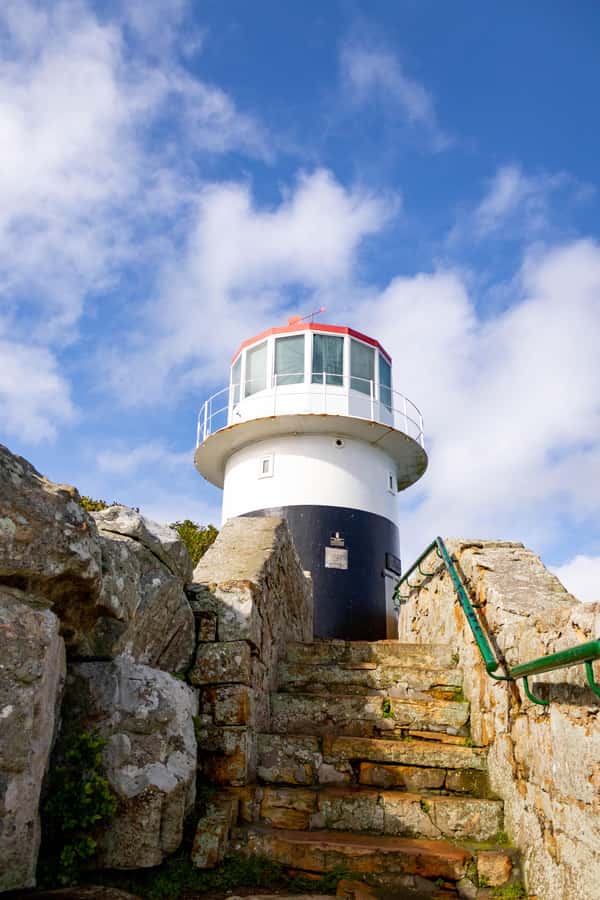 Cape Peninsula: Private Half Day Tour - Clifton and Camps Bay: starting with the coast at its most cinematic