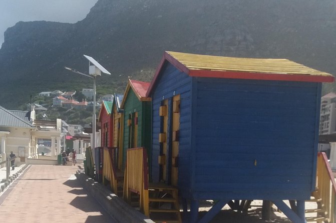 Cape Peninsula Private Tour - Private day on the Cape Peninsula, in plain terms