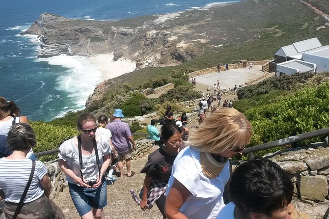 Cape Peninsula Private Tour - Cape Point Ostrich Farm and Cape of Good Hope: walking with a payoff