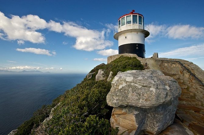 Cape Peninsula Private Tour - Price and value for up to 4 people