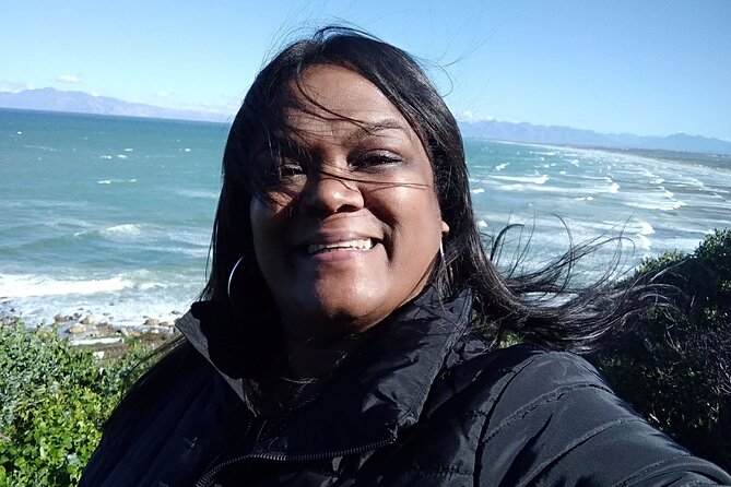 Cape Peninsula Private Tour In Cape Town South Africa - Muizenberg Color, Simon’s Town, and Boulders Beach Penguins